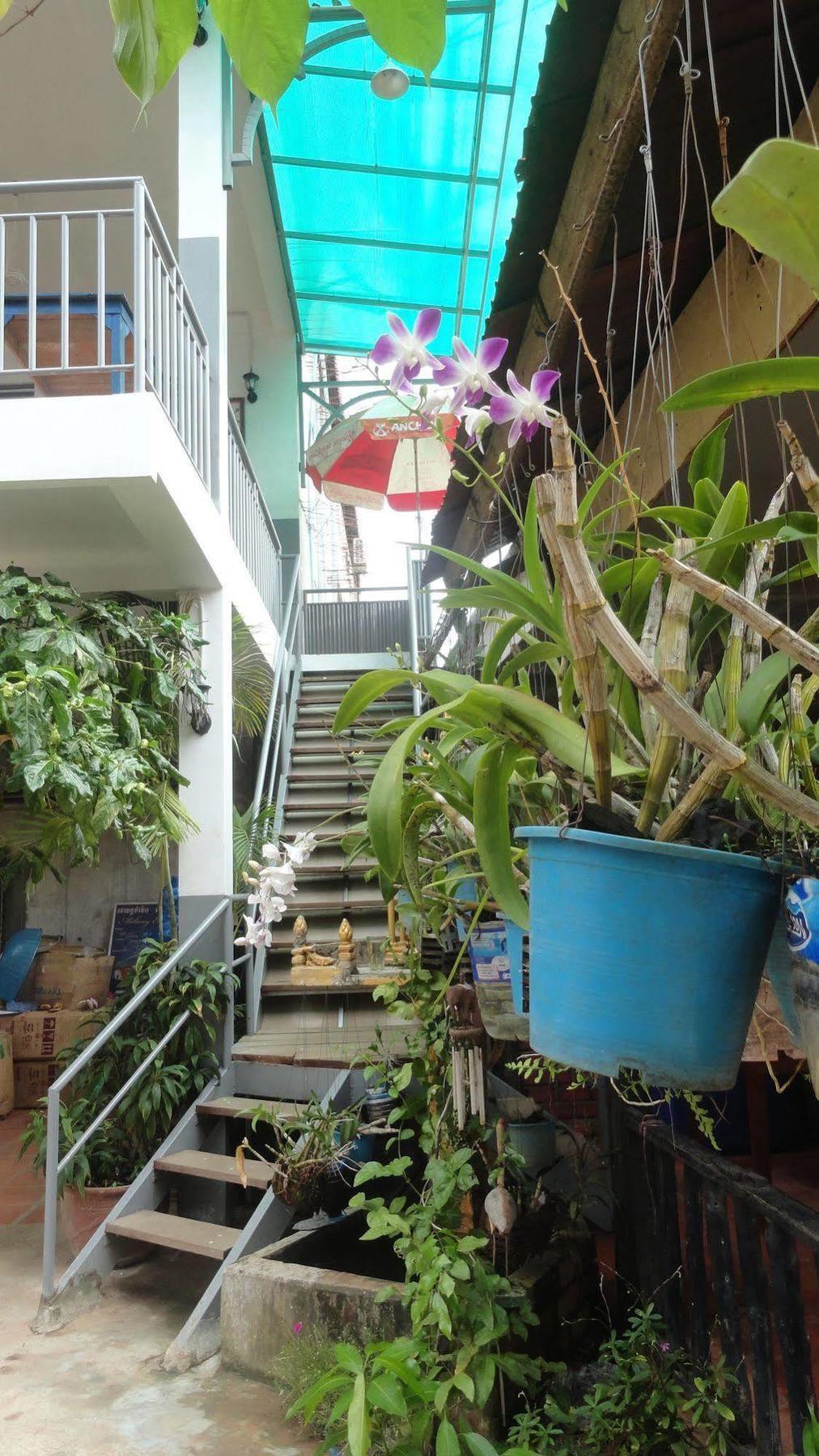 Green Park Village Guesthouse Siem Reap Buitenkant foto